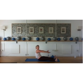 8030 - On Demand Class - Pole Workout