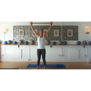 8031 - On Demand Class - Pole Workout