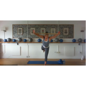 8032 - On Demand Class - Pole Workout