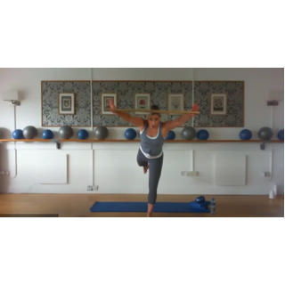 8032 - On Demand Class - Pole Workout