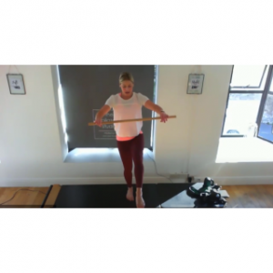 8079 - On Demand Class - Pole Workout