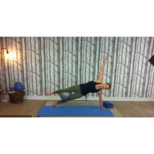 8086 - On Demand Class - Body Weight with 12" Ball