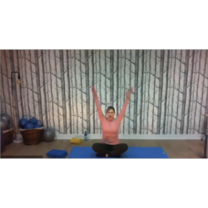 8096 - On Demand Class - Beginners