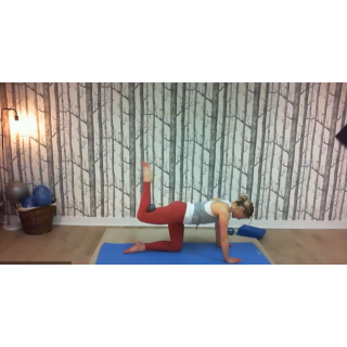 8146 - On Demand Class - Level II