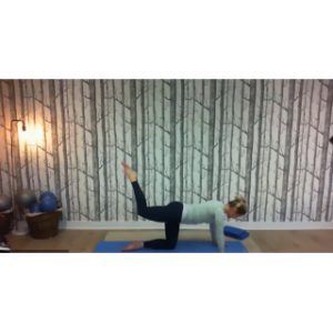 8150 - On Demand Class - Level II