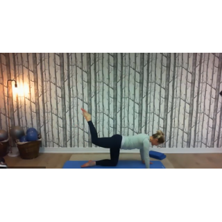 8150 - On Demand Class - Level II