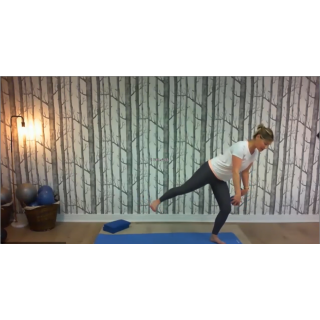 8151 - On Demand Class - Level II