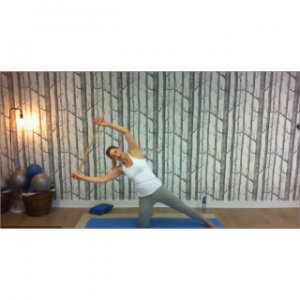 8187 - On Demand Class - Pole Workout