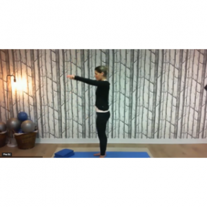 8188 - On Demand Class - Pole Workout